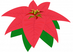 Collection of Free Poinsettia Clipart | Buy any image and use it for ...