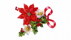 Poinsettia Transparent Christmas Rose - Clip Art Christmas ...