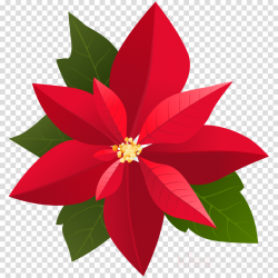 Christmas Poinsettia Clipart clipart - Illustration, Flower ...