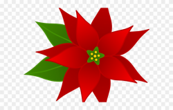 Christmas Poinsettia Clipart - Transparent Poinsettia ...