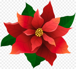 Christmas Poinsettia Clipart clipart - Flower, Drawing ...
