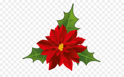 Christmas Poinsettia Clipart png download - 600*541 - Free ...