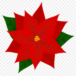 Christmas Poinsettia Clipart clipart - Flower, Plant ...