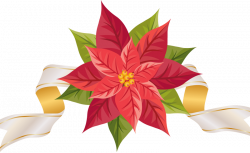 Christmas Poinsettia Clipart Group (54+)