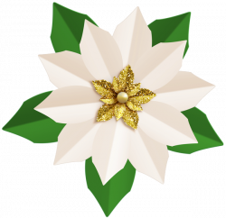 Christmas White Poinsettia PNG Clip Art Image | Gallery ...