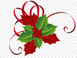 Christmas Poinsettia Clipart png download - 1283*947 - Free ...