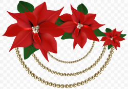 Poinsettia Christmas Decoration Clip Art, PNG, 6247x4380px ...