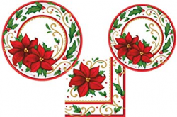 Amazon.com: Joyful Poinsettia Christmas Holiday Plates ...