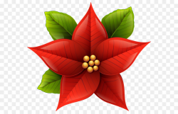 Christmas Poinsettia Clipart png download - 6414*5697 - Free ...