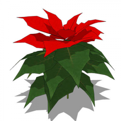 Free Poinsettia Plants Pictures, Download Free Clip Art ...