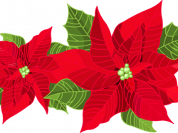 Free Poinsettia Clipart, Download Free Clip Art on Owips.com