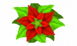 Poinsettia, Transparent Png Download For Free #5168959 ...