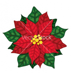 Christmas poinsettia vector 1584355 - by ksana-gribakina on ...