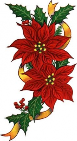 Drawing a poinsettia, Added by Dawn, September 20, 2010, 6:13:55 pm ...