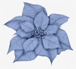 Poinsettia PNG, Transparent Poinsettia PNG Image Free ...