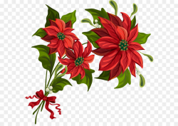 Christmas Poinsettia Clipart png download - 5500*5340 - Free ...