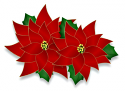 Poinsettias and Bows | ButterflyWebGraphics