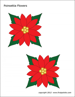 Poinsettia Flowers | Free Printable Templates & Coloring ...
