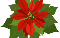 Christmas Flowers Download Free Clipart With A Transparent ...