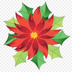 Christmas Poinsettia Clipart