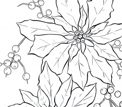 Poinsettia Line Art - Christmas - The Graphics Fairy
