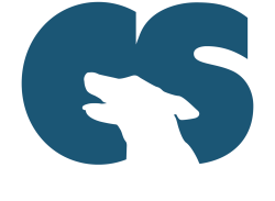 Meet Allison — Canine Solutions USA