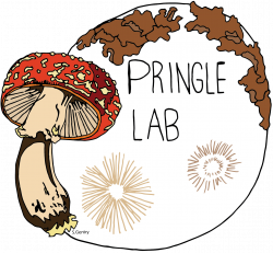 Pringle Lab UW-Madison