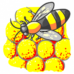 SERBUK SARI LEBAH - 蜂花粉 - Fēng huāfěn - Bee Pollen: LEBAH 2 ...