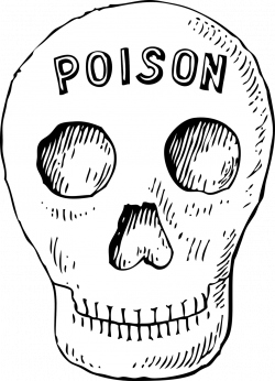 Public Domain Clip Art Image | poison skull | ID: 13927482616521 ...