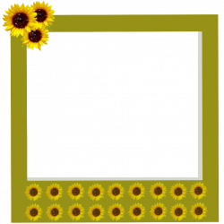 tumblr aesthetic polaroid frame frames sunflowers sunfl...