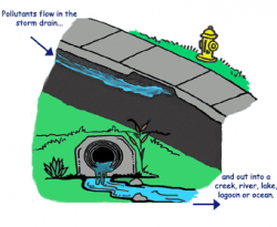 We're Storming the Drains! Storm Drain Stenciling Day, Nov ...