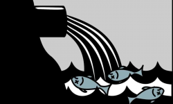 Clothing, furniture also to blame for ocean and freshwater ...