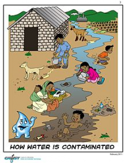 Water pollution - Wikipedia