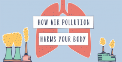 How Air Pollution Harms Your Body - Moms Clean Air Force