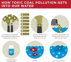 Protecting Our Water from Coal Pollution | Grist