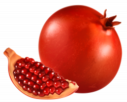 Pomegranate PNG Clipart - Best WEB Clipart