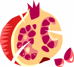 Pomegranate Edible Fruit Berry - Vector Image