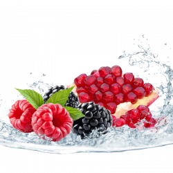 Berry Pomegranate Clean Whey Protein Drink | Protein | PowerBar®
