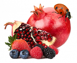 Pomegranate Berries E-Liquid | Bang Bang Vapors, LLC