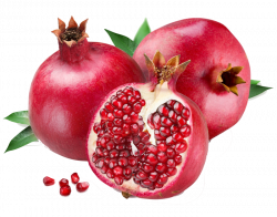ForgetMeNot: pomegranates