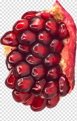 Pomegranate Berry Fruit , pomegranate transparent background ...