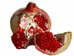 Pomegranate PNG Image - PurePNG | Free transparent CC0 PNG Image Library