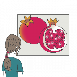 Pomegranate Dream Dictionary: Interpret Now! - Auntyflo.com