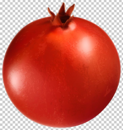 Pomegranate Plum Tomato PNG, Clipart, Blog, Bush Tomato ...