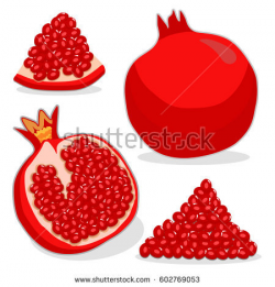 Pomegranate Clipart | Free download best Pomegranate Clipart ...