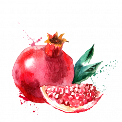 Pomegranate juice Drawing Clip art - pomegranate 886*886 transprent ...