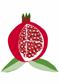 Public Domain Clip Art Image | pomegranate fruit | ID ...