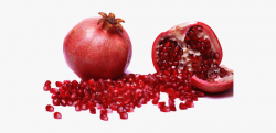 Pomegranate Clipart File - Pomegranate Saveh, Cliparts ...