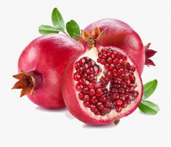 Pomegranate Png Clipart - Pomegranate Png #164250 - Free ...