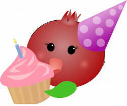 birthday – The Pretty Pomegranate